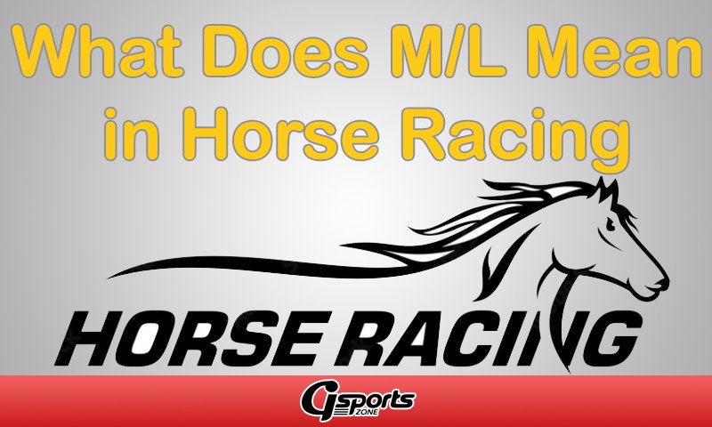 what-does-m-l-mean-in-horse-racing-pl-mean-in-horse-betting